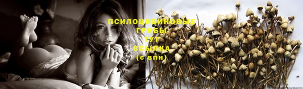 винт Баксан