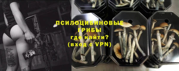 стаф Тайга