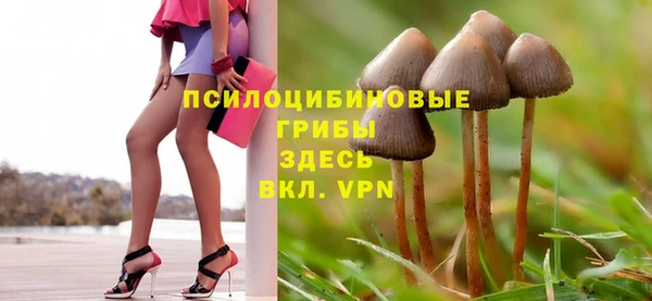 винт Баксан