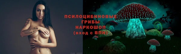 винт Баксан