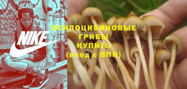 а пвп мука Балабаново