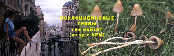 винт Баксан